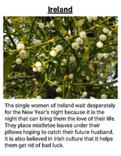 Load image into Gallery viewer, 10 New Year Traditions: Discussion Game (Editable in Google Slides) - Roombop