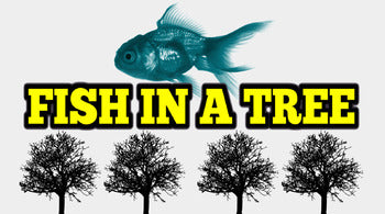 Fish In A Tree Novel Study Full Unit - Roombop