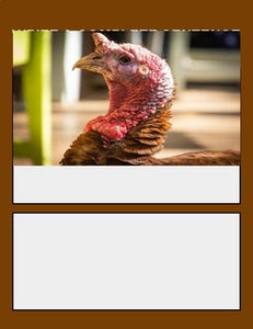 Thanksgiving Picture Prompt Writing (Google Classroom) - Roombop